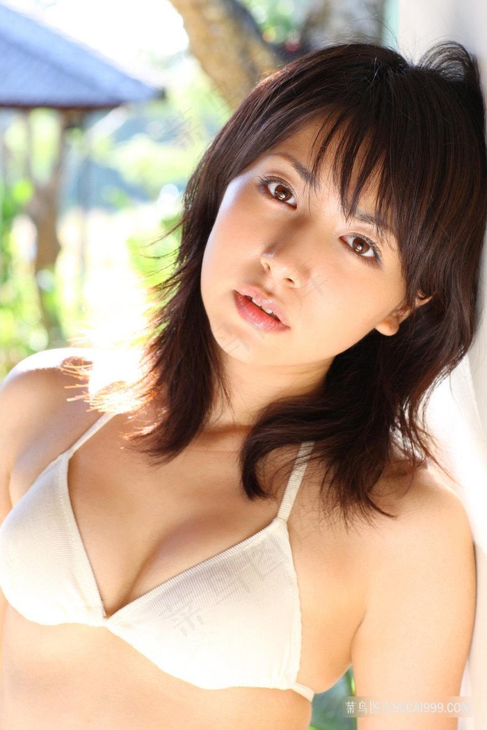 正常男性阴茎图片